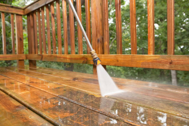 Trusted Coal Grove, OH Pressure Washing Services Experts
